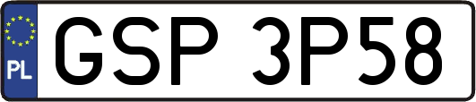 GSP3P58