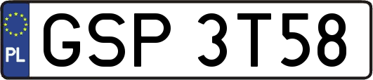 GSP3T58