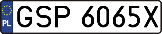 GSP6065X