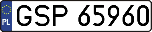 GSP65960