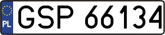 GSP66134