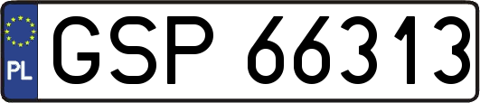 GSP66313