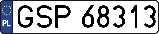 GSP68313