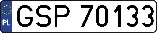 GSP70133