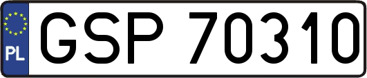 GSP70310