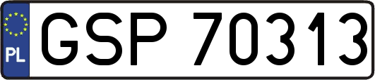 GSP70313