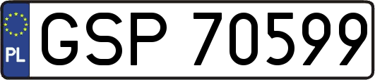 GSP70599