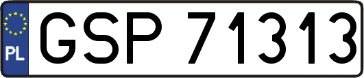 GSP71313