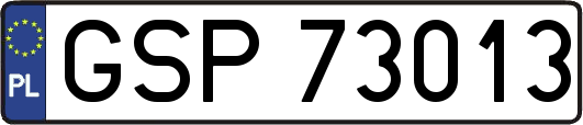 GSP73013