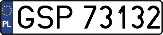 GSP73132