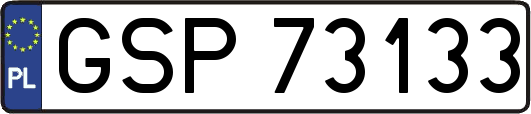 GSP73133
