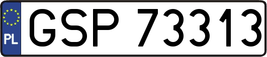 GSP73313