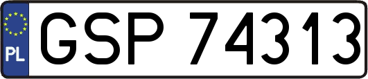 GSP74313