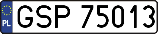 GSP75013