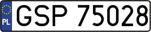 GSP75028