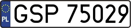 GSP75029