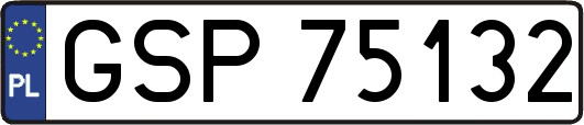 GSP75132