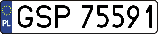 GSP75591