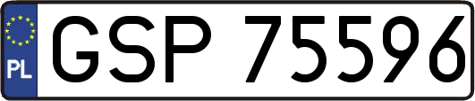 GSP75596