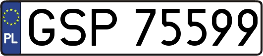 GSP75599