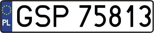 GSP75813