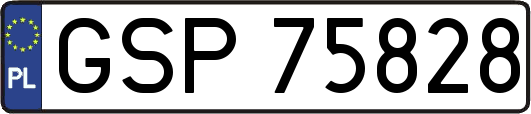 GSP75828