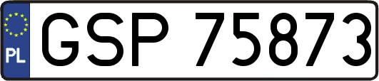 GSP75873