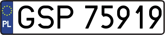 GSP75919