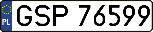 GSP76599