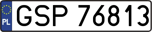 GSP76813