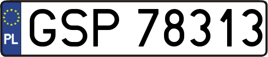 GSP78313