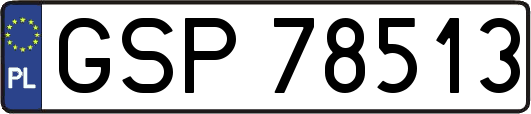 GSP78513