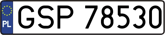 GSP78530
