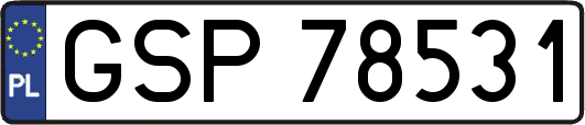 GSP78531