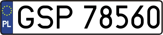 GSP78560