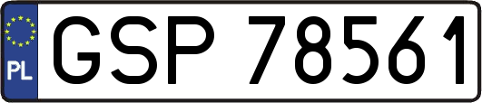 GSP78561