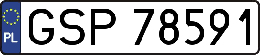 GSP78591