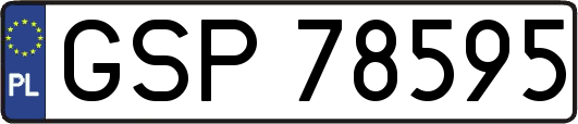 GSP78595
