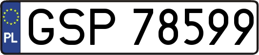 GSP78599