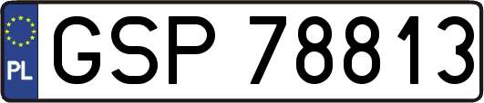 GSP78813