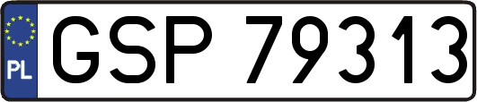 GSP79313