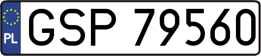 GSP79560