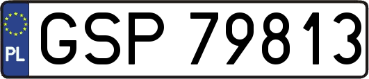 GSP79813