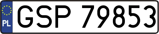 GSP79853