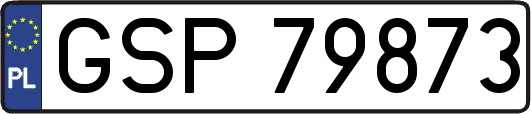 GSP79873
