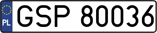 GSP80036