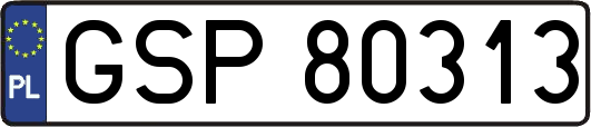 GSP80313