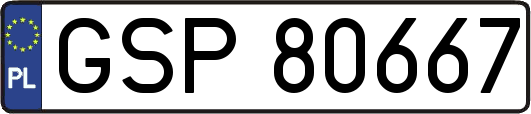 GSP80667