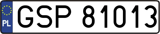 GSP81013