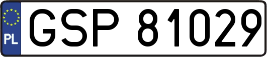 GSP81029